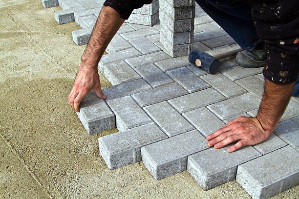 Best Driveway Paving Contractor  in Lake City, SC