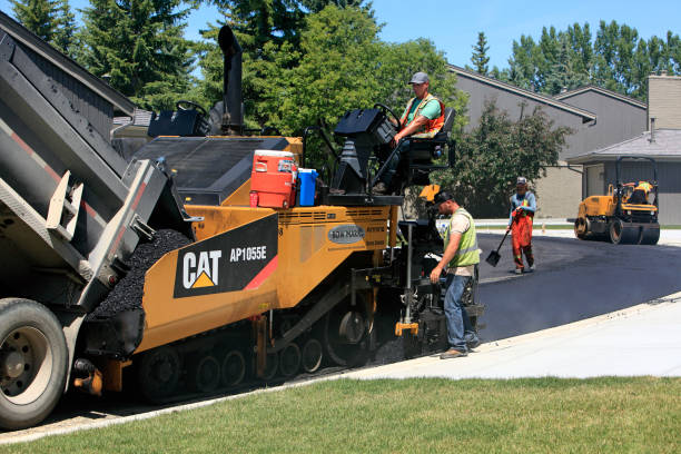 Best Local Driveway Pavers  in Lake City, SC